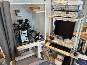 Patch-Clamp